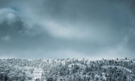 Issue #12: O Winter!