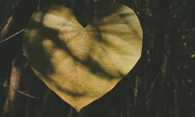 Issue #15: And So We Love