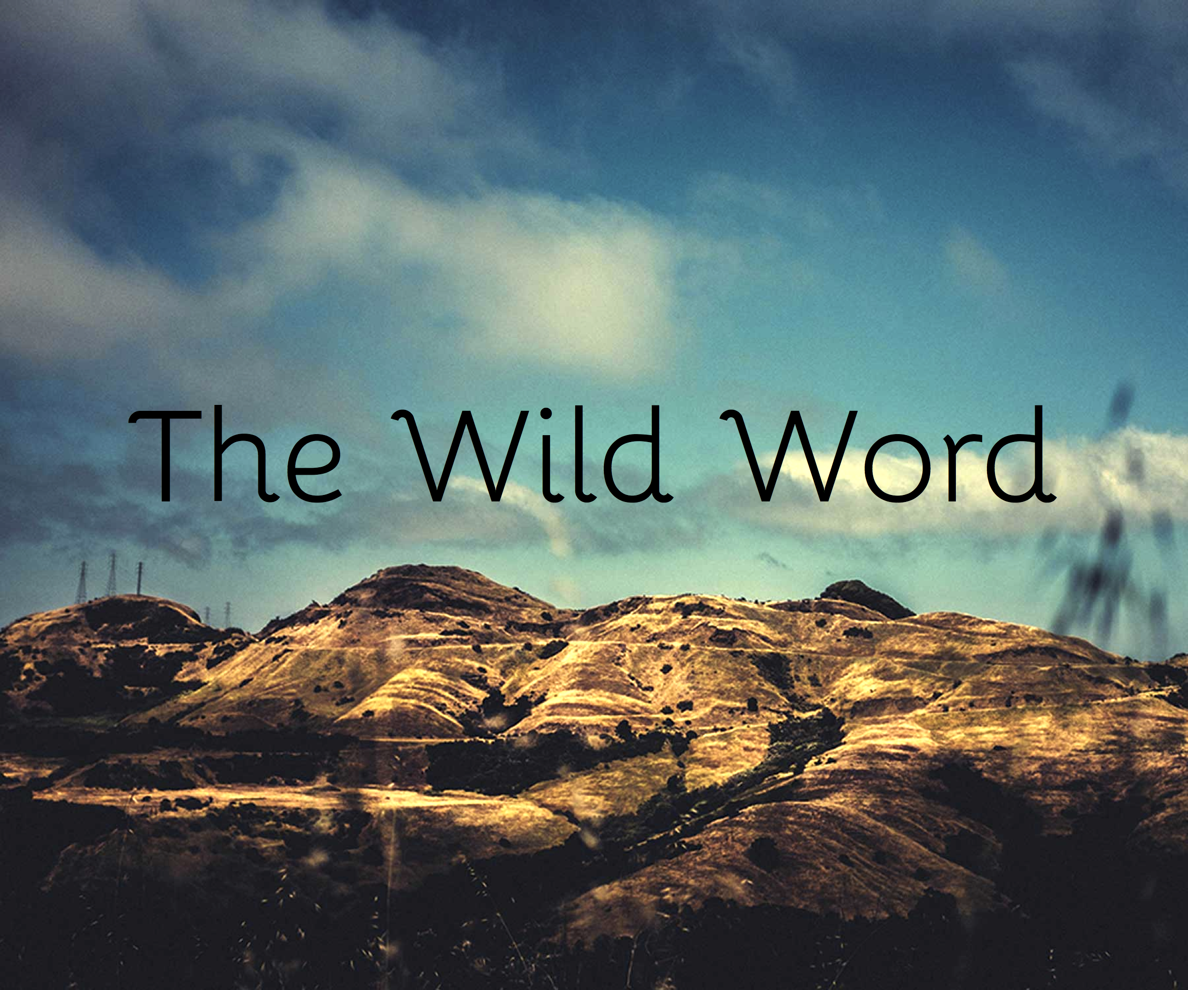 Wild Word. Wild Word фото. Wildlife Words. Wild wordwall