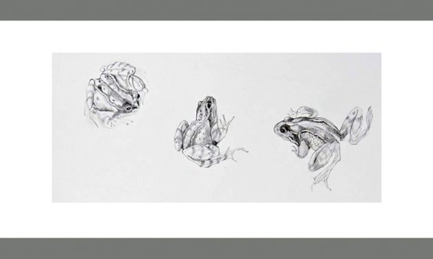 Artist-in-Residence – Hiram Larew