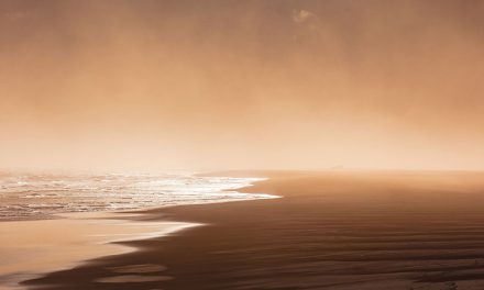 Sharon Suzuki Martinez