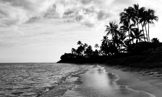 Pandemic in Paradise