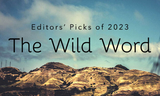 Editors’ Picks of 2023 – Poetry